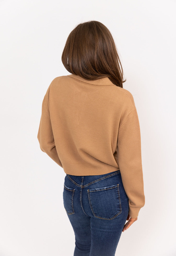 Camel Vneck Sweater Top