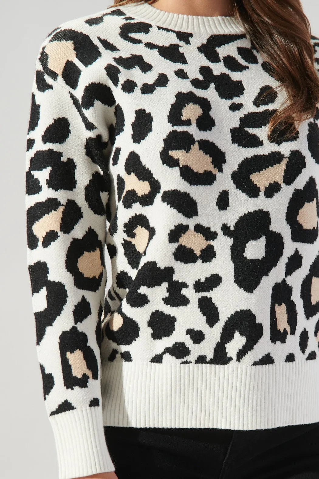 Mila Leopard Sweater