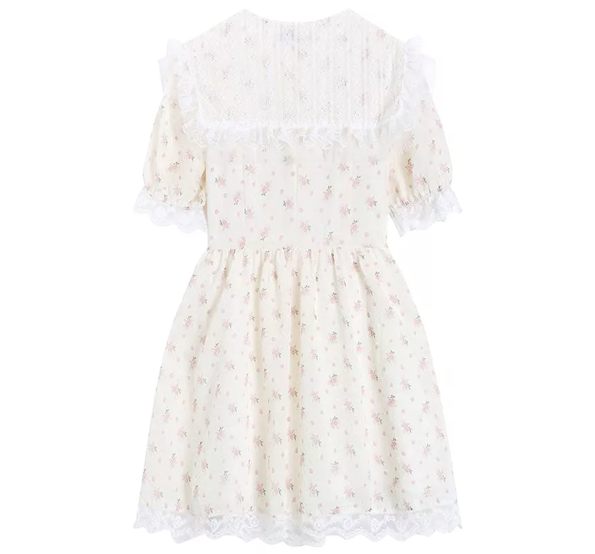 Short-Sleeve V-Neck Lace A-Line Dress aa18